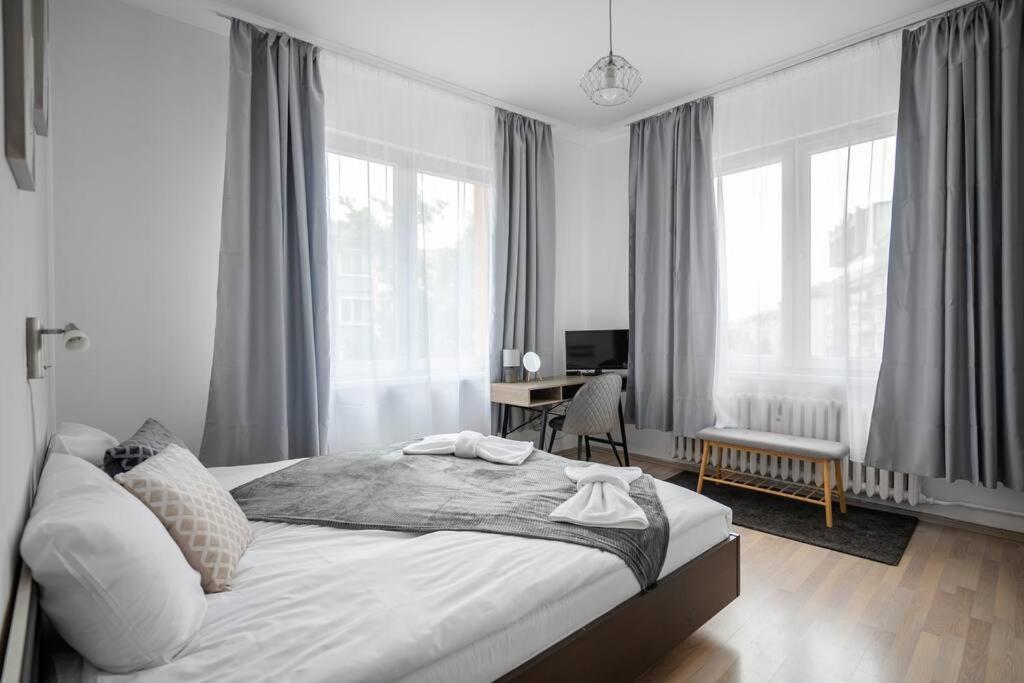 Spacious 3Bd Central Apartment 索菲亞 外观 照片