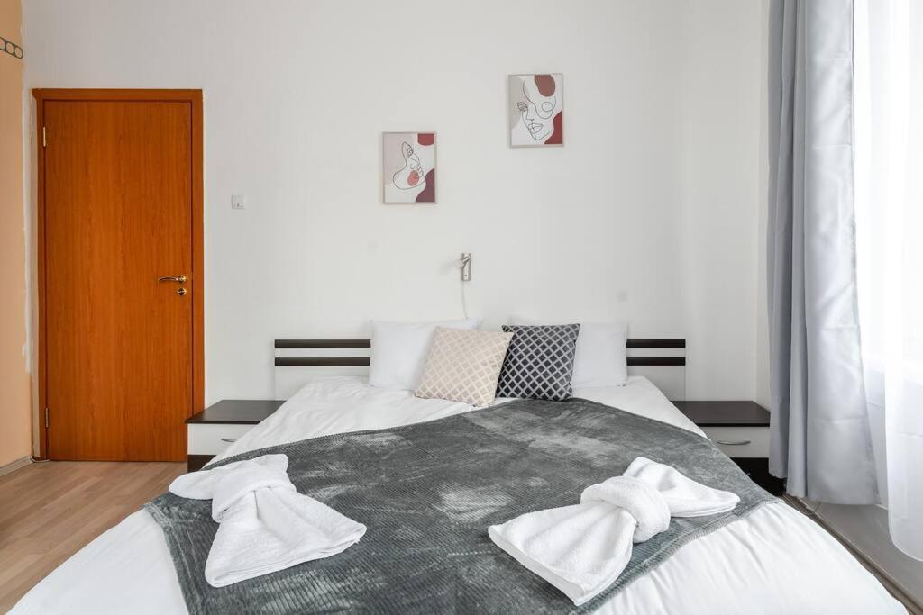 Spacious 3Bd Central Apartment 索菲亞 外观 照片