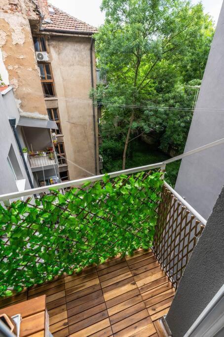 Spacious 3Bd Central Apartment 索菲亞 外观 照片