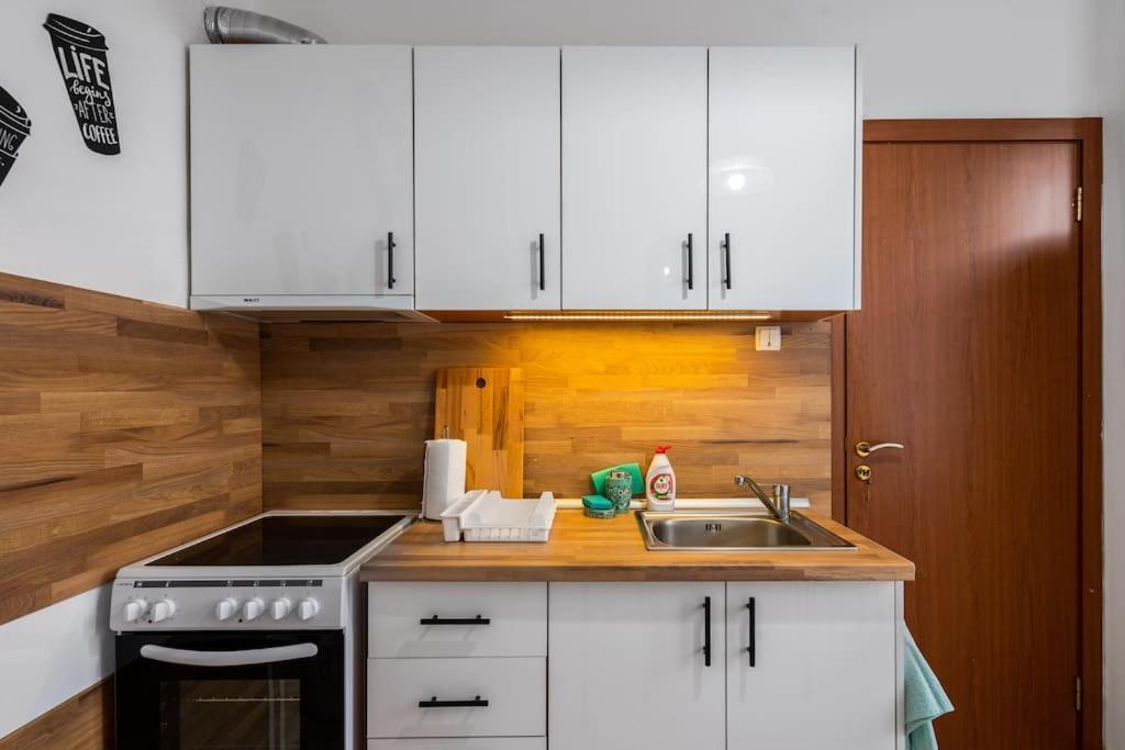 Spacious 3Bd Central Apartment 索菲亞 外观 照片