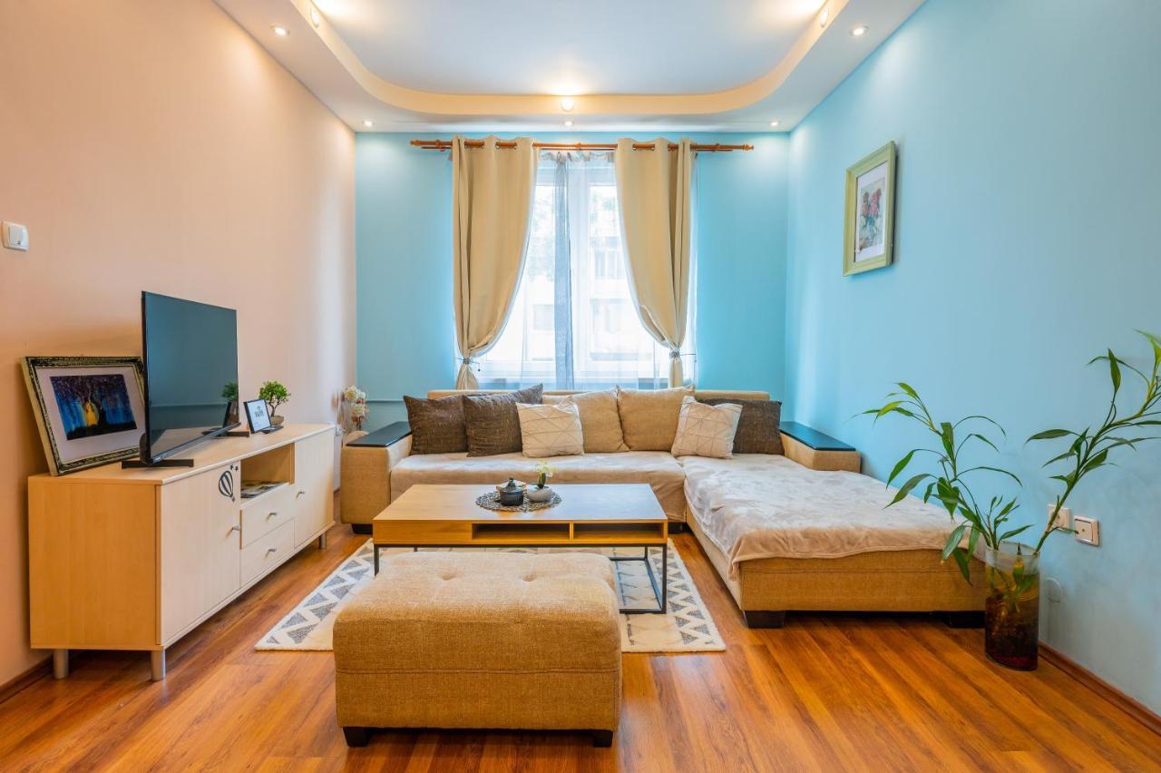 Spacious 3Bd Central Apartment 索菲亞 外观 照片